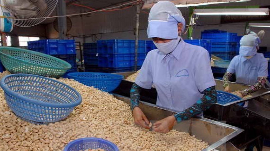 German market projected to bode well for Vietnamese cashew exports in 2022